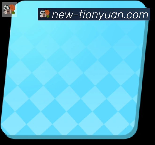 天元棋牌全站App